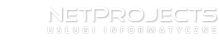NetProjects logo